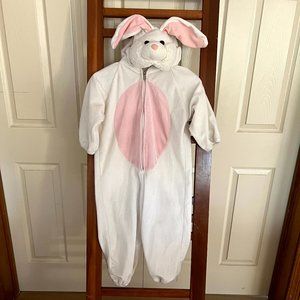 Chosun Rabbit / Bunny Costume